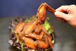 野外グルメイベント「全肉祭」開催チームが完全監修する新たな食のイベントが開催