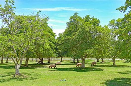 動物との触れ合いを通じて命の大切さを学べる