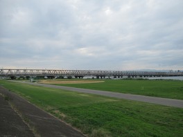 バードウォッチングや昼休憩の人々でにぎわう公園