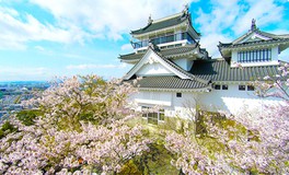 「桜の城」として市民に親しまれる