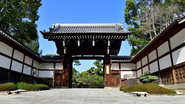 飛石や石橋を配置した池泉回遊式の日本庭園