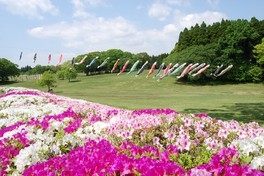四季を通じて草花や樹木など多くの種類の植物が見られる