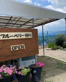 ブルーベリーガーデン伊都