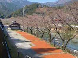 ふれあい公園オートキャンプ場